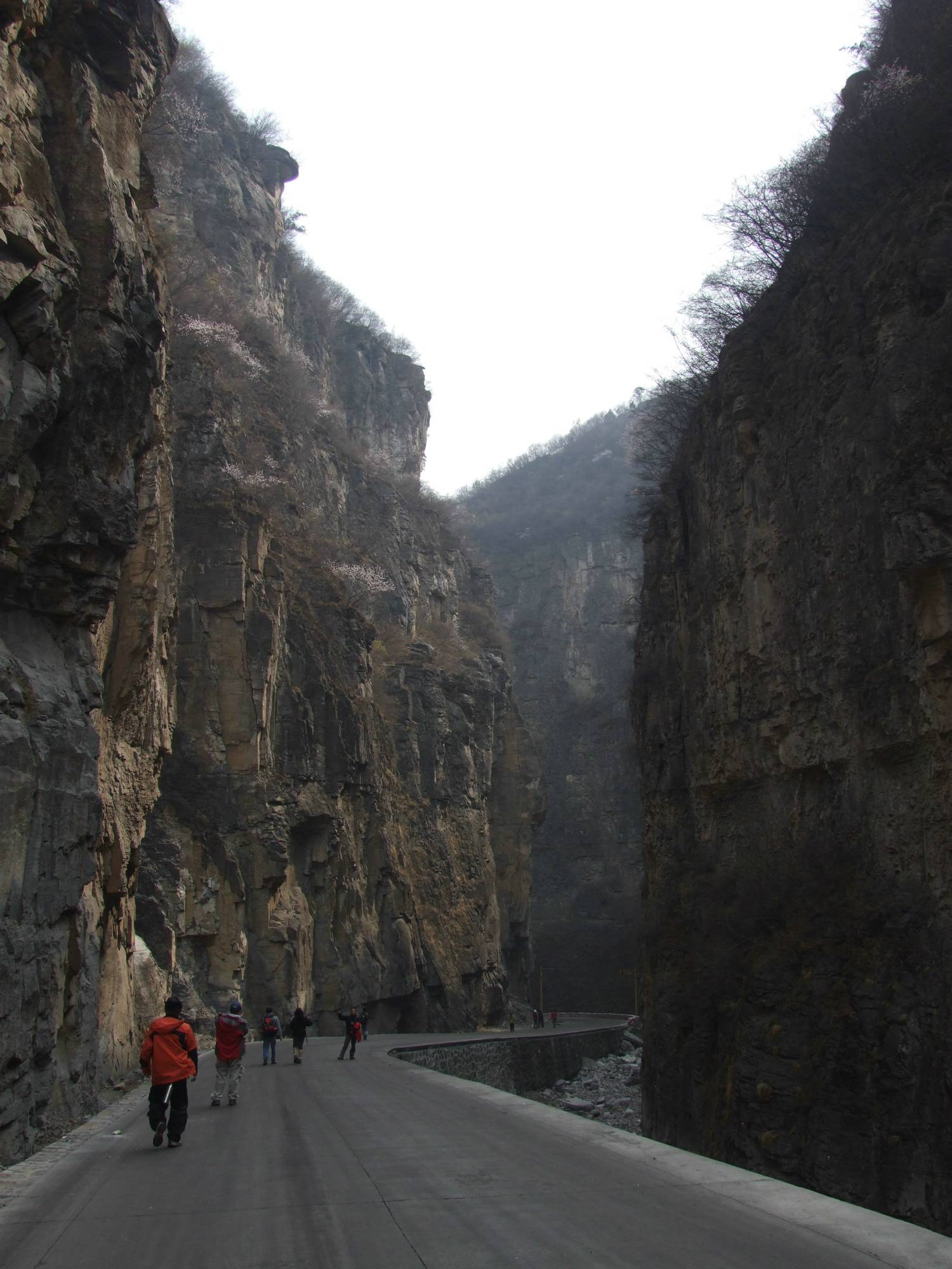 DSCF5096.jpg