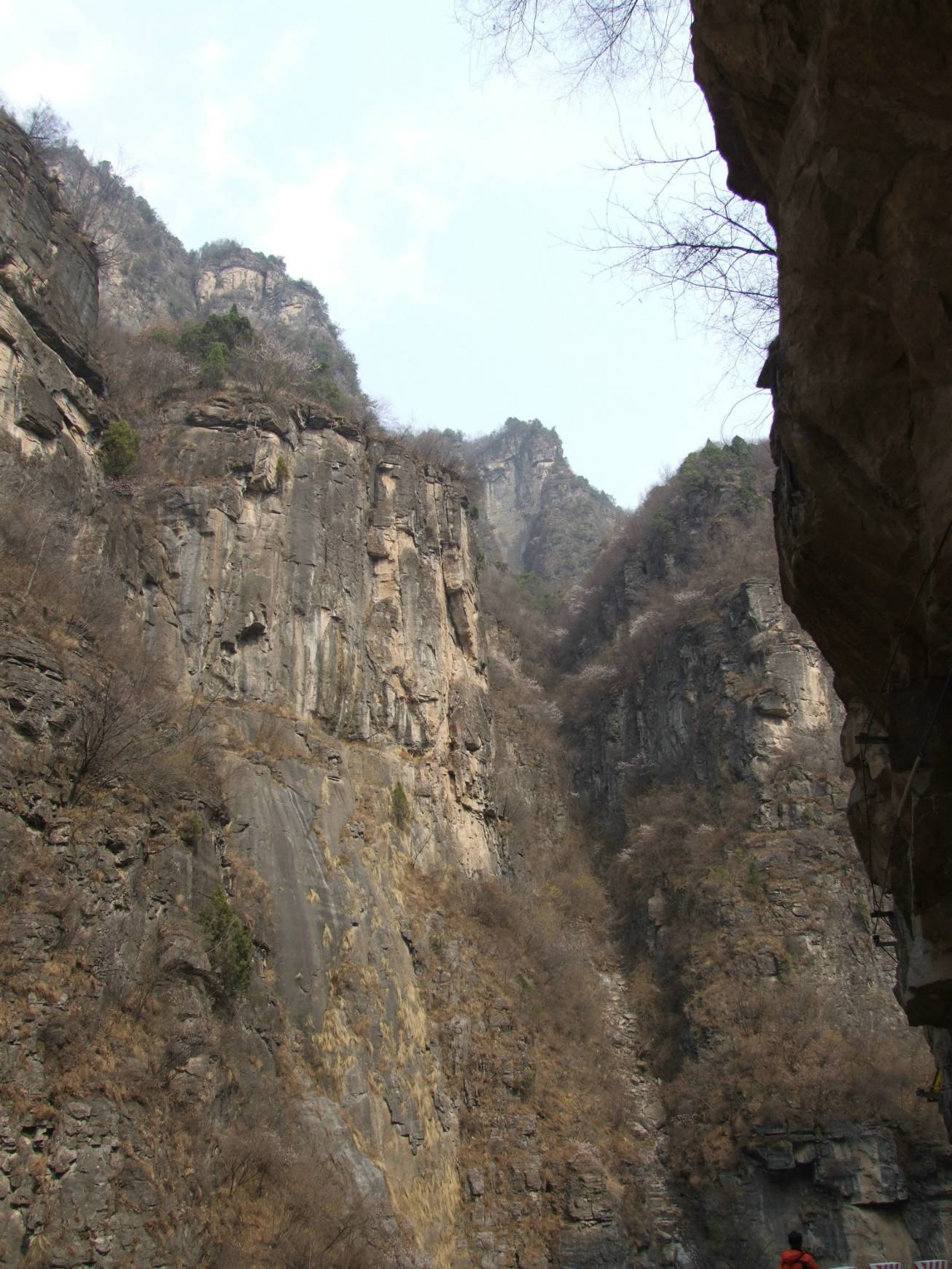 DSCF5095.jpg