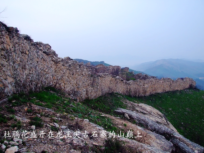 DSCF8371.jpg