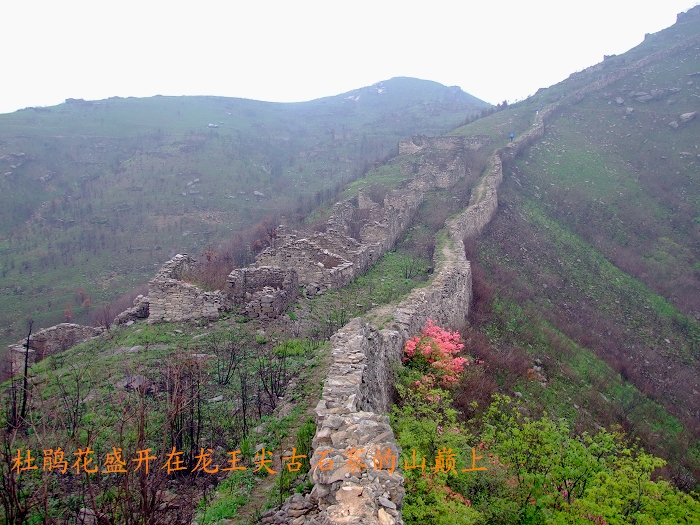 DSCF8271.jpg