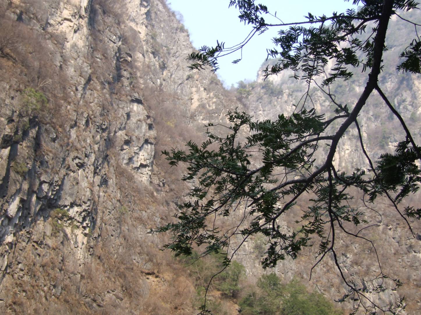 DSCF5119.jpg
