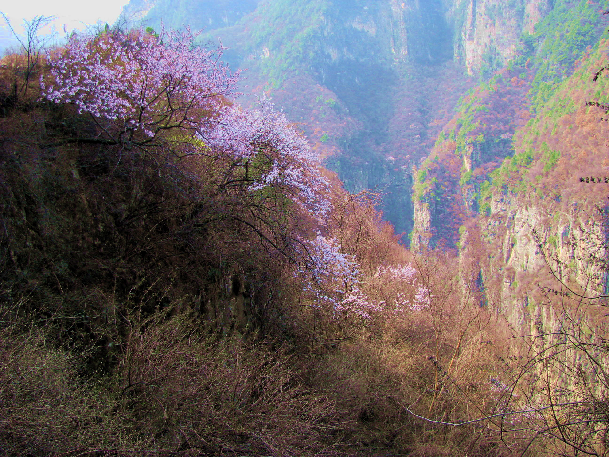 春满人间