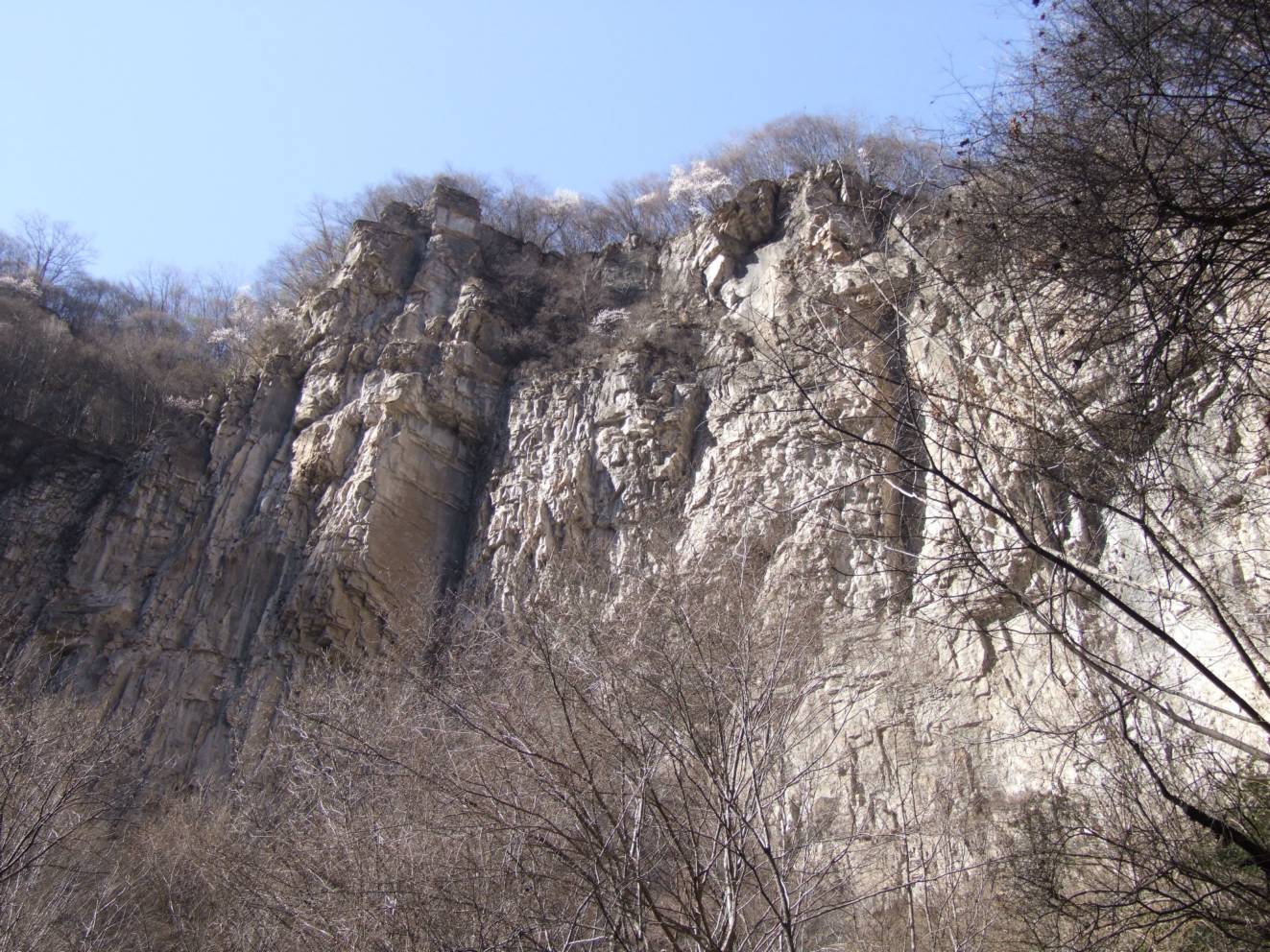DSCF5151.jpg