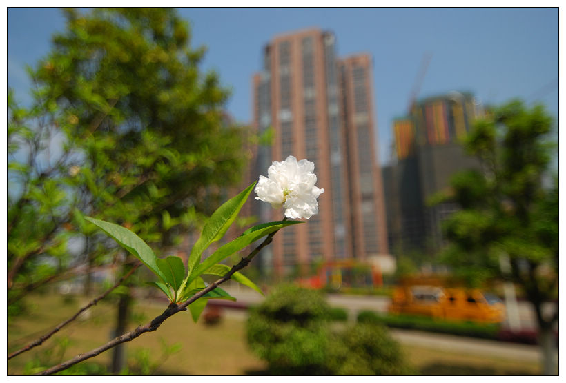nEO_IMG_DSC_5610.jpg