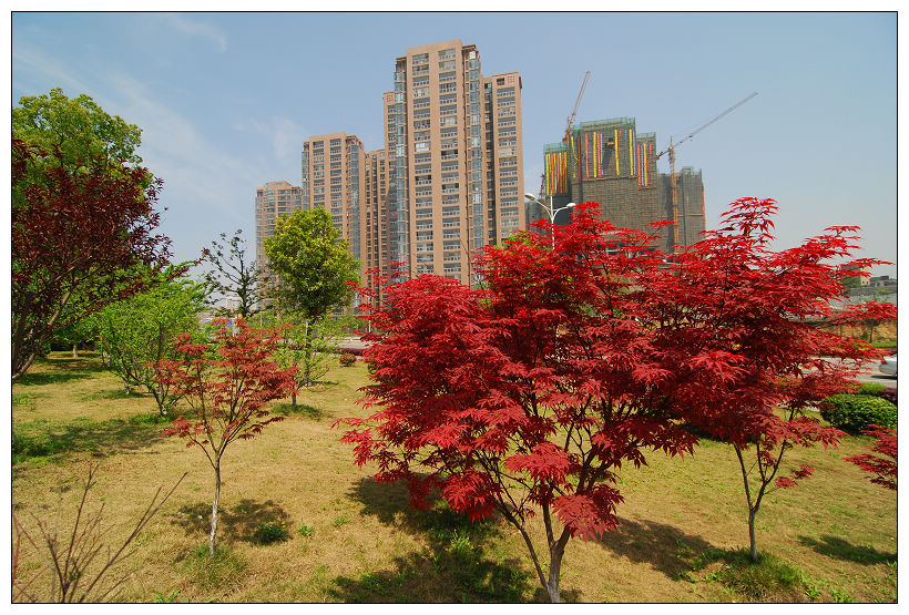 nEO_IMG_DSC_5608.jpg