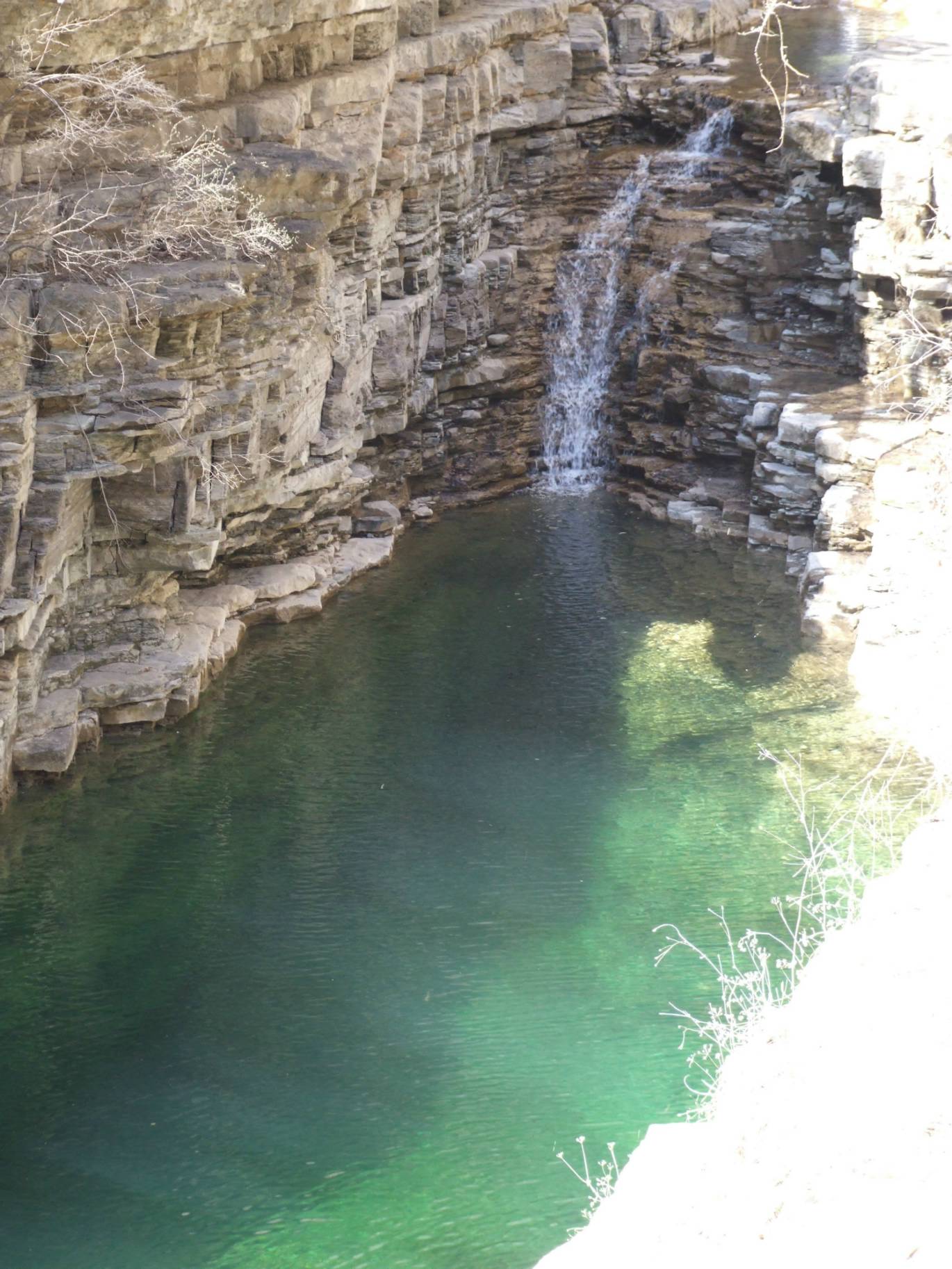 DSCF5177.jpg