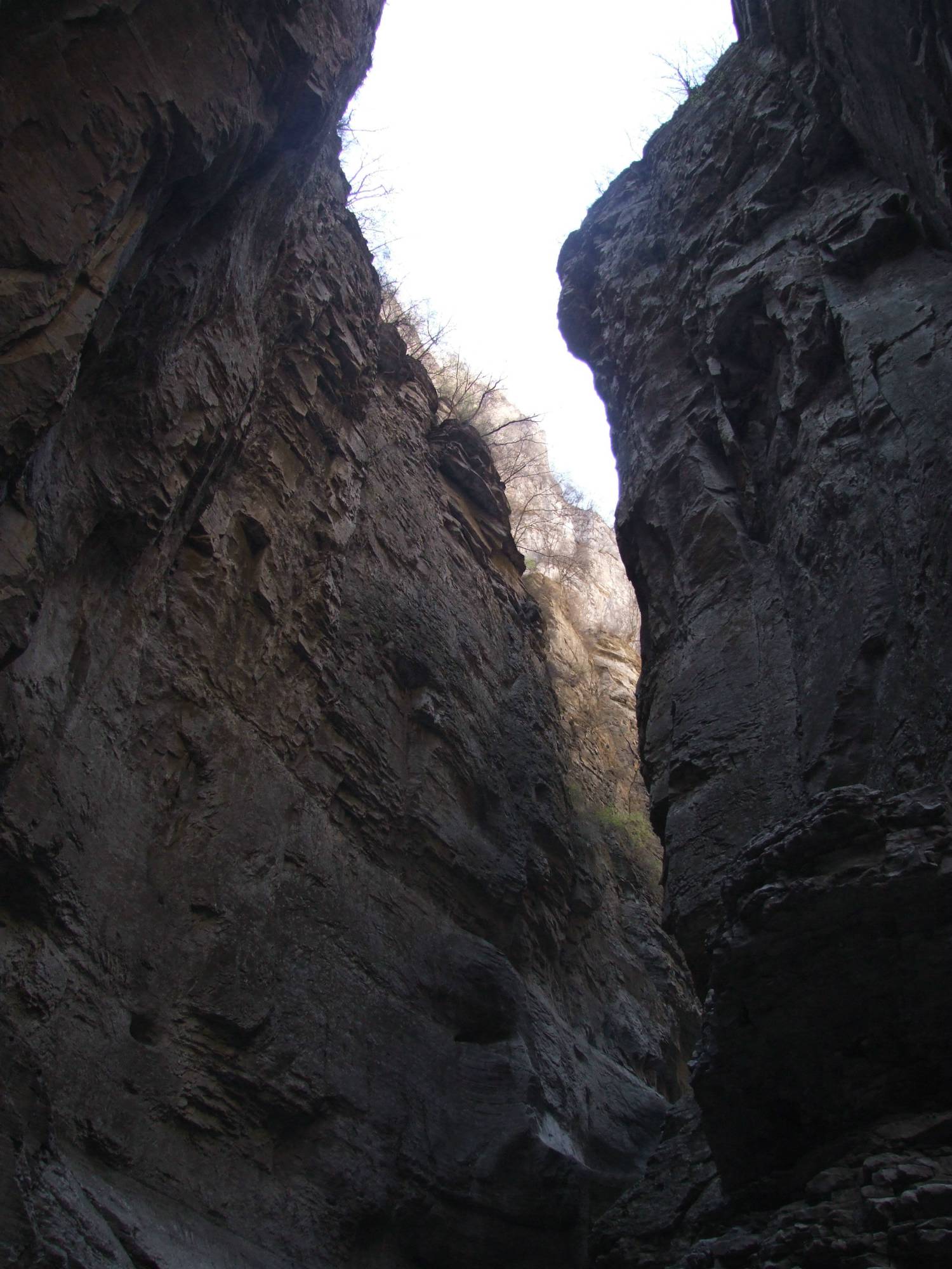 DSCF5159.jpg