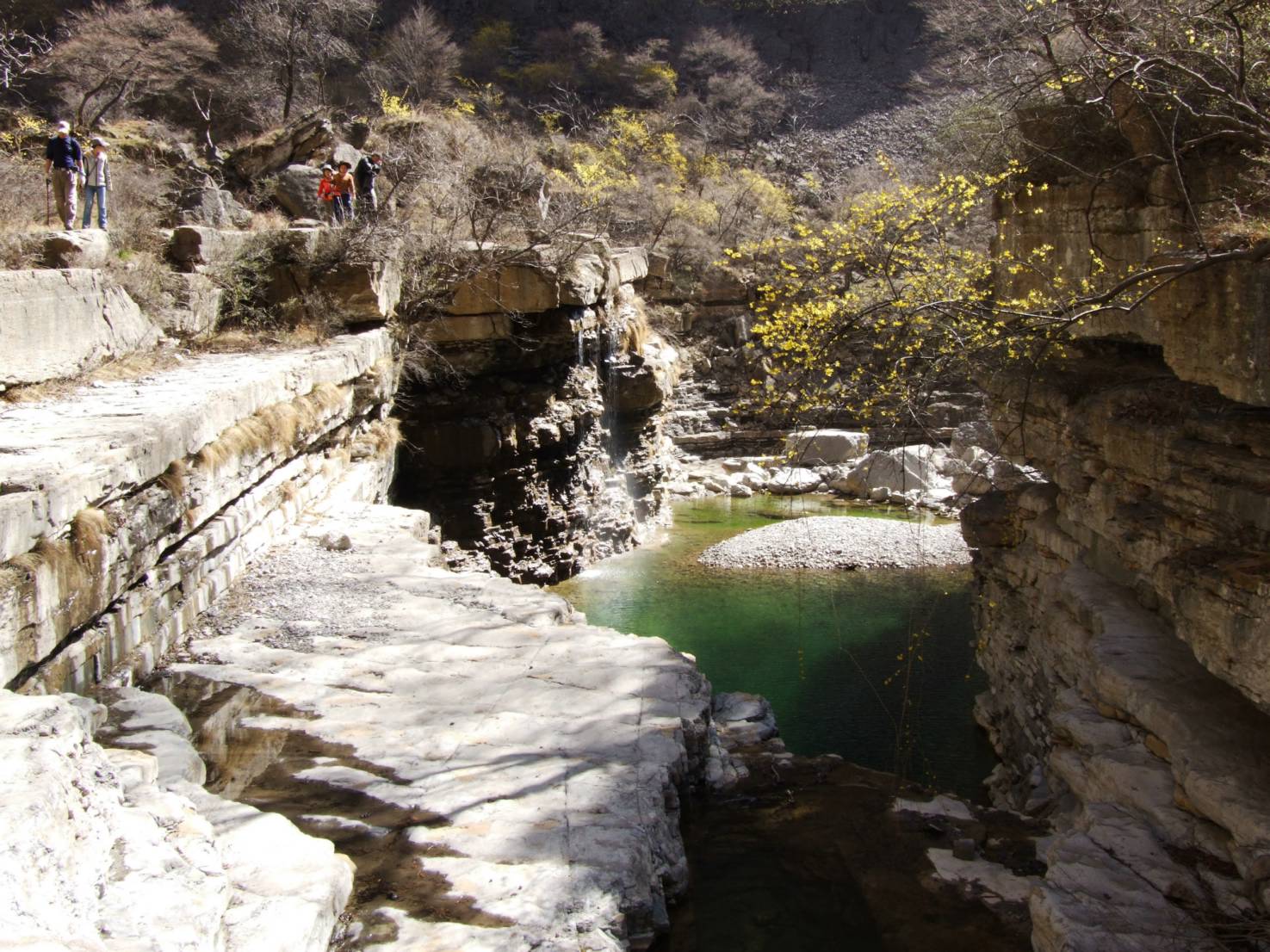 DSCF5174.jpg