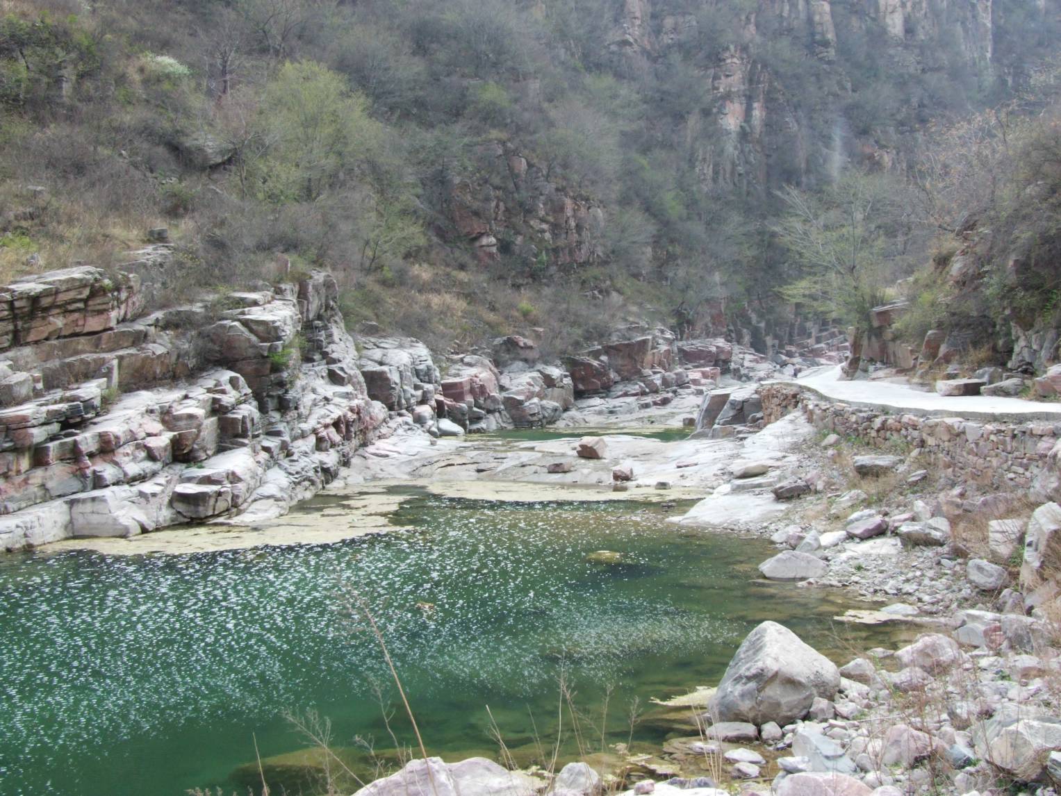 DSCF5209.jpg