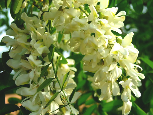DSCF3758.jpg