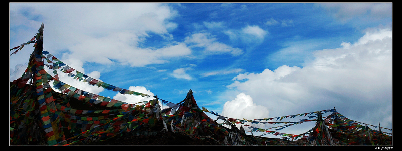 DSC_5467.jpg