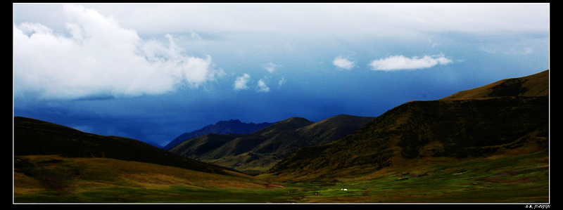 DSC_5437.jpg