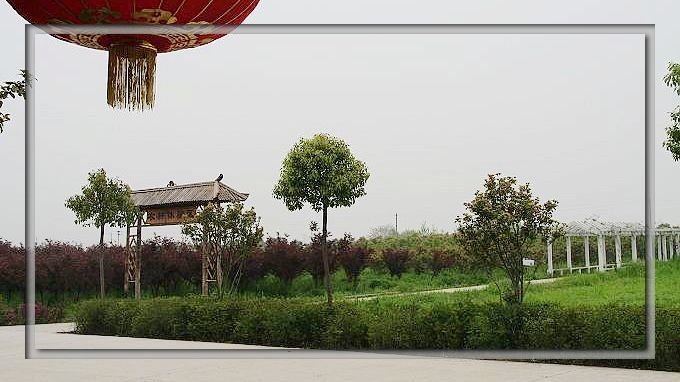 nEO_IMG_IMG_1831.jpg