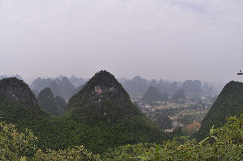 DSC_0011.jpg