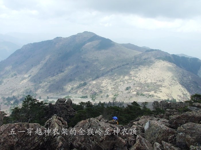 DSCF8957.jpg