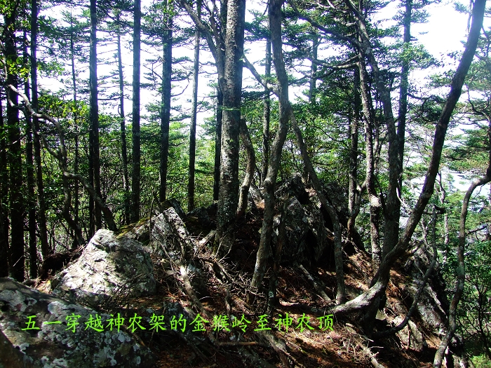 DSCF8845.jpg
