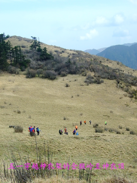 DSCF8880.jpg