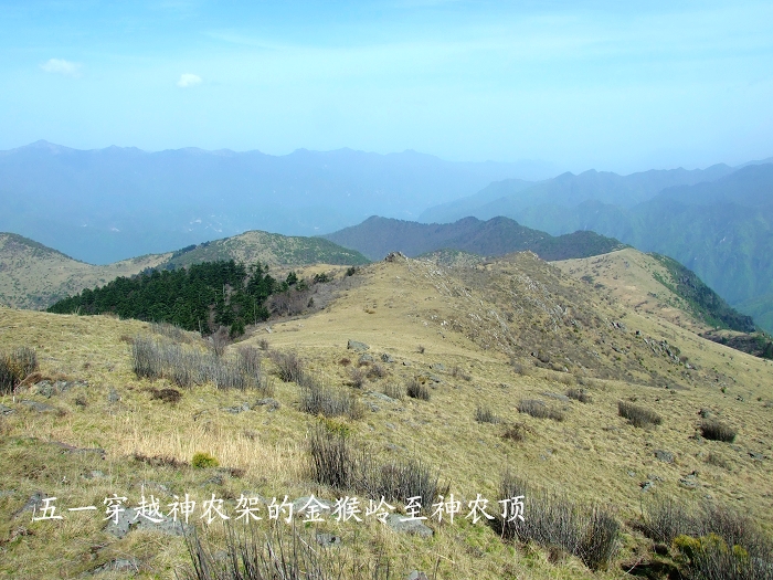 DSCF8865.jpg