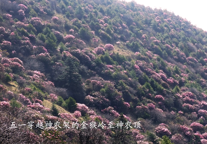 DSCF8937.jpg