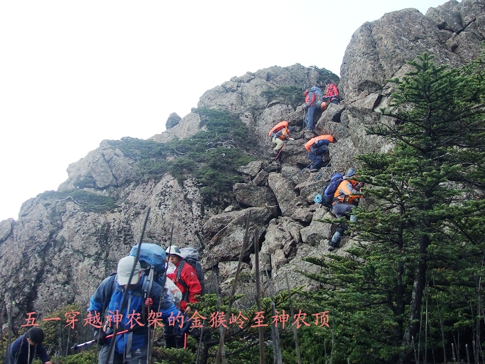 DSCF8971.jpg