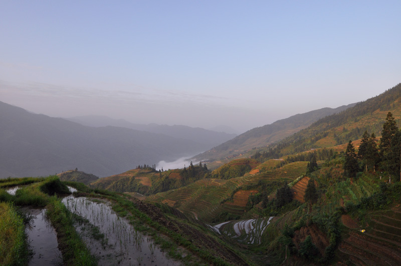 DSC_0185.jpg