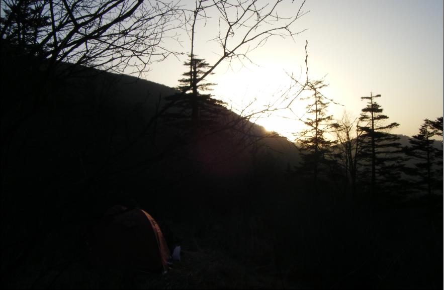 ĺɫ1.JPG