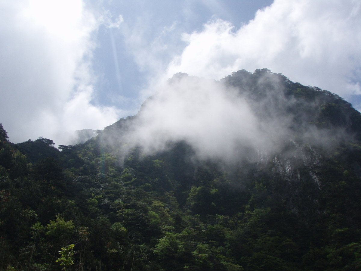 阳光下的山~