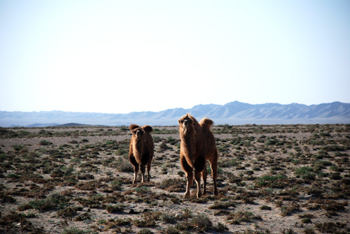 DSC_6184.jpg