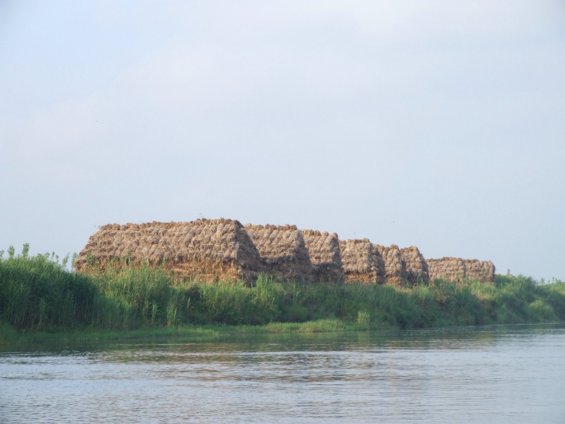 DSCF5500.jpg