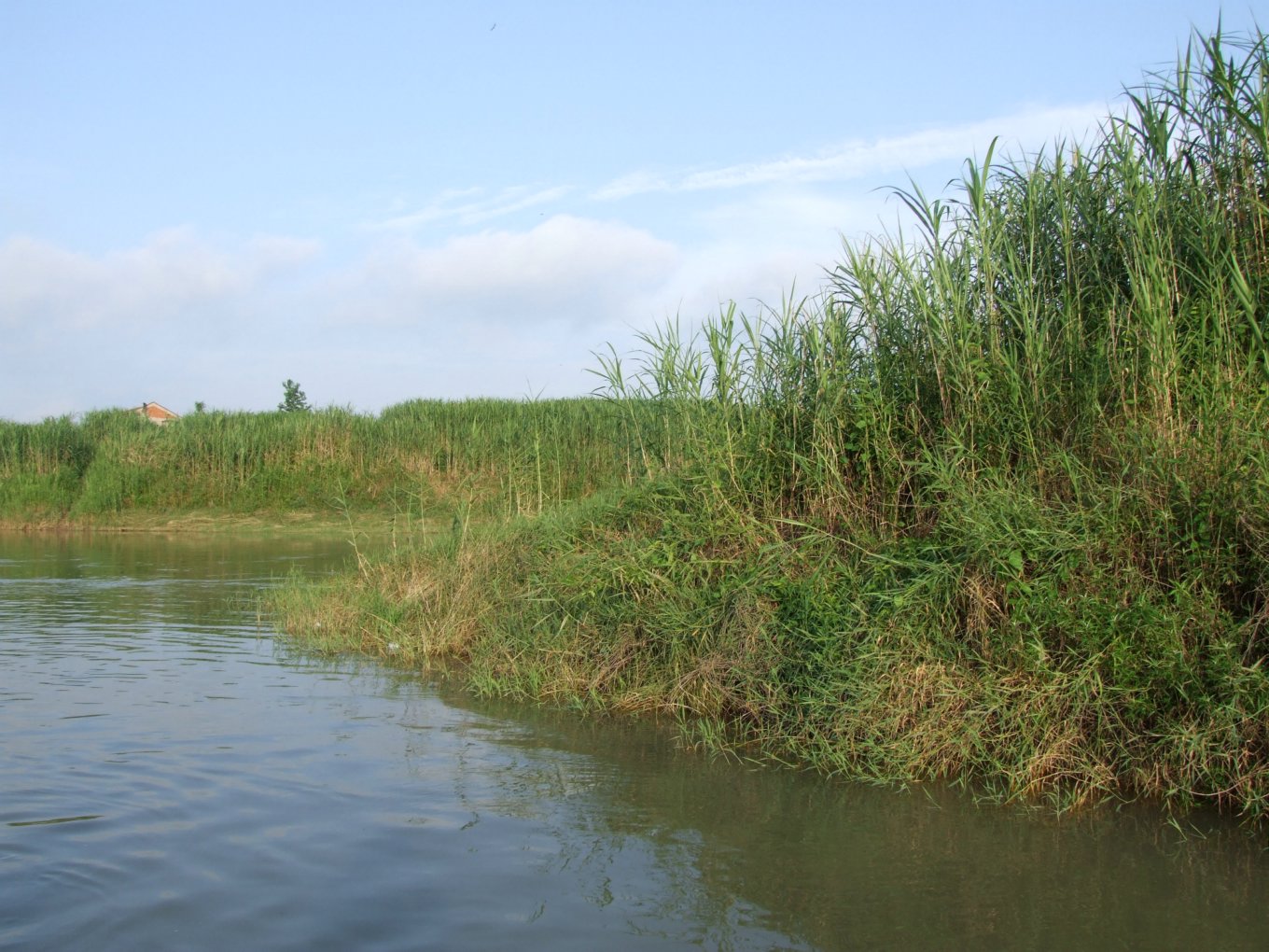 DSCF5499.jpg