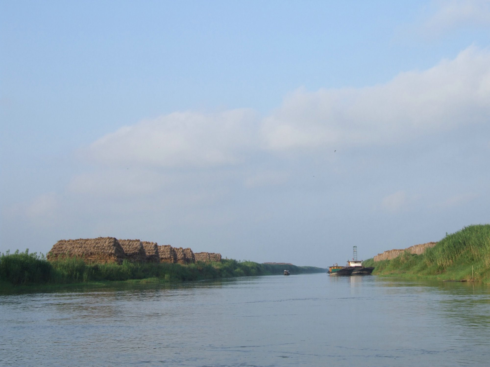 DSCF5498.jpg
