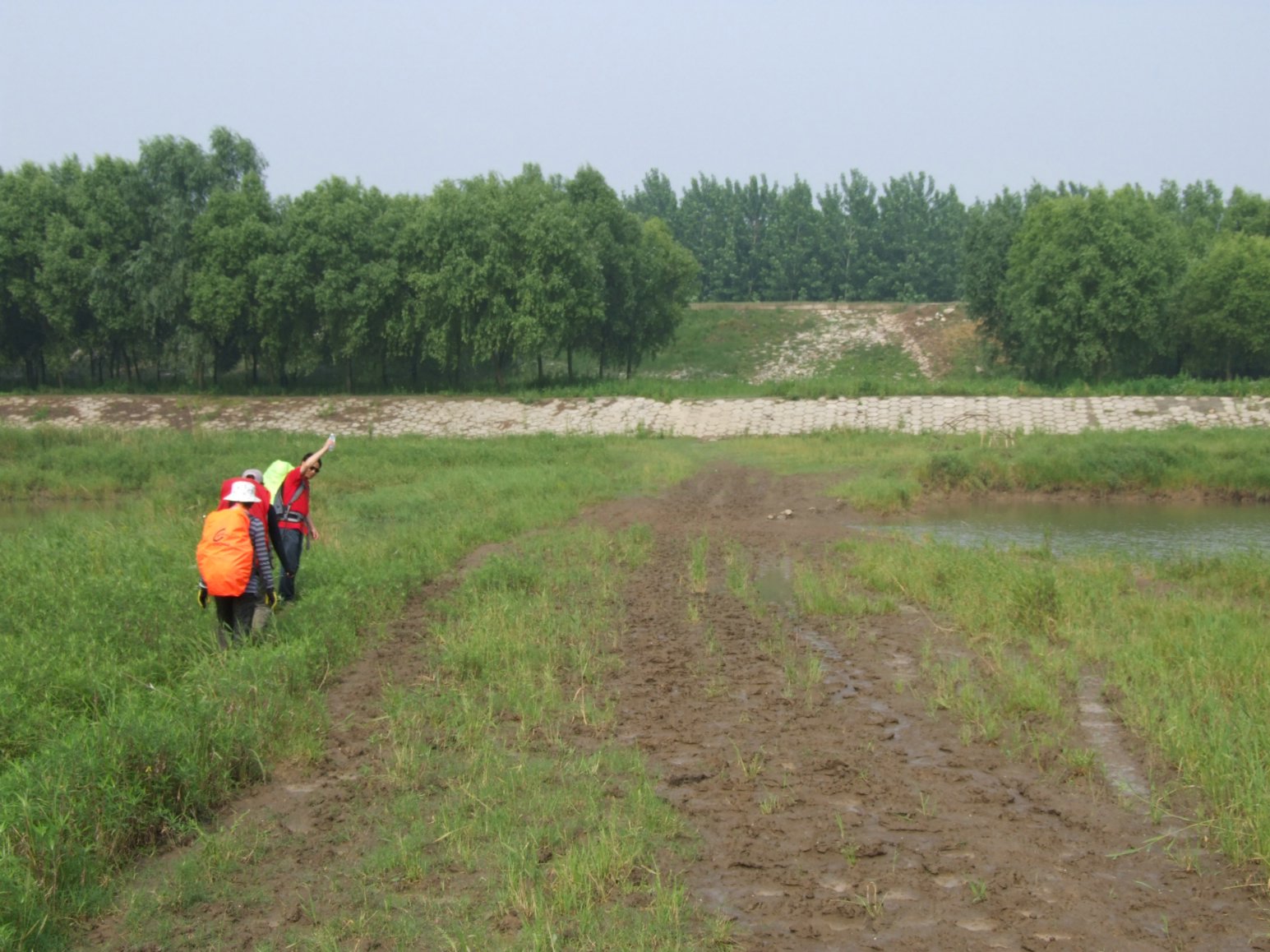 DSCF5520.jpg
