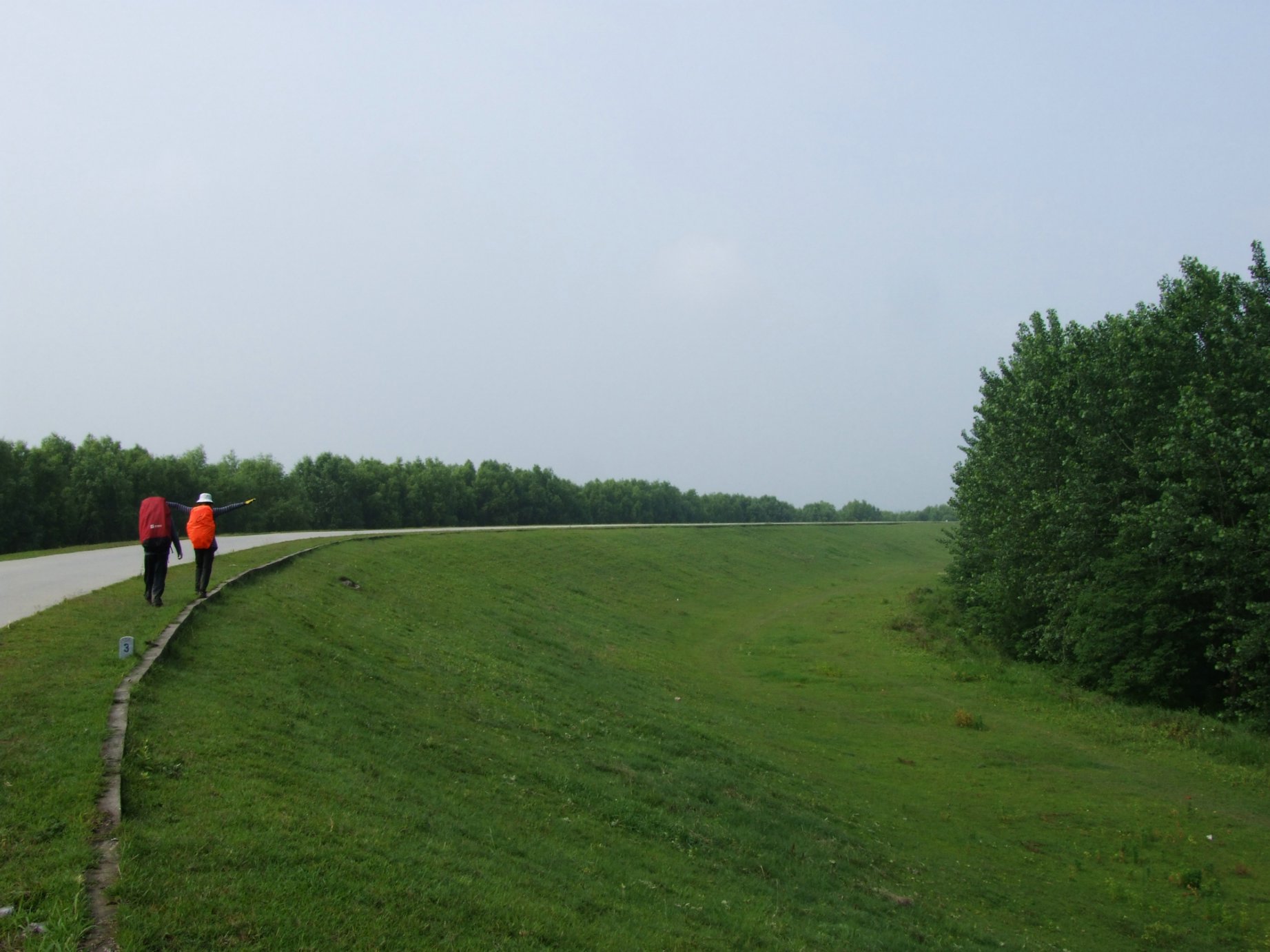 DSCF5528.jpg