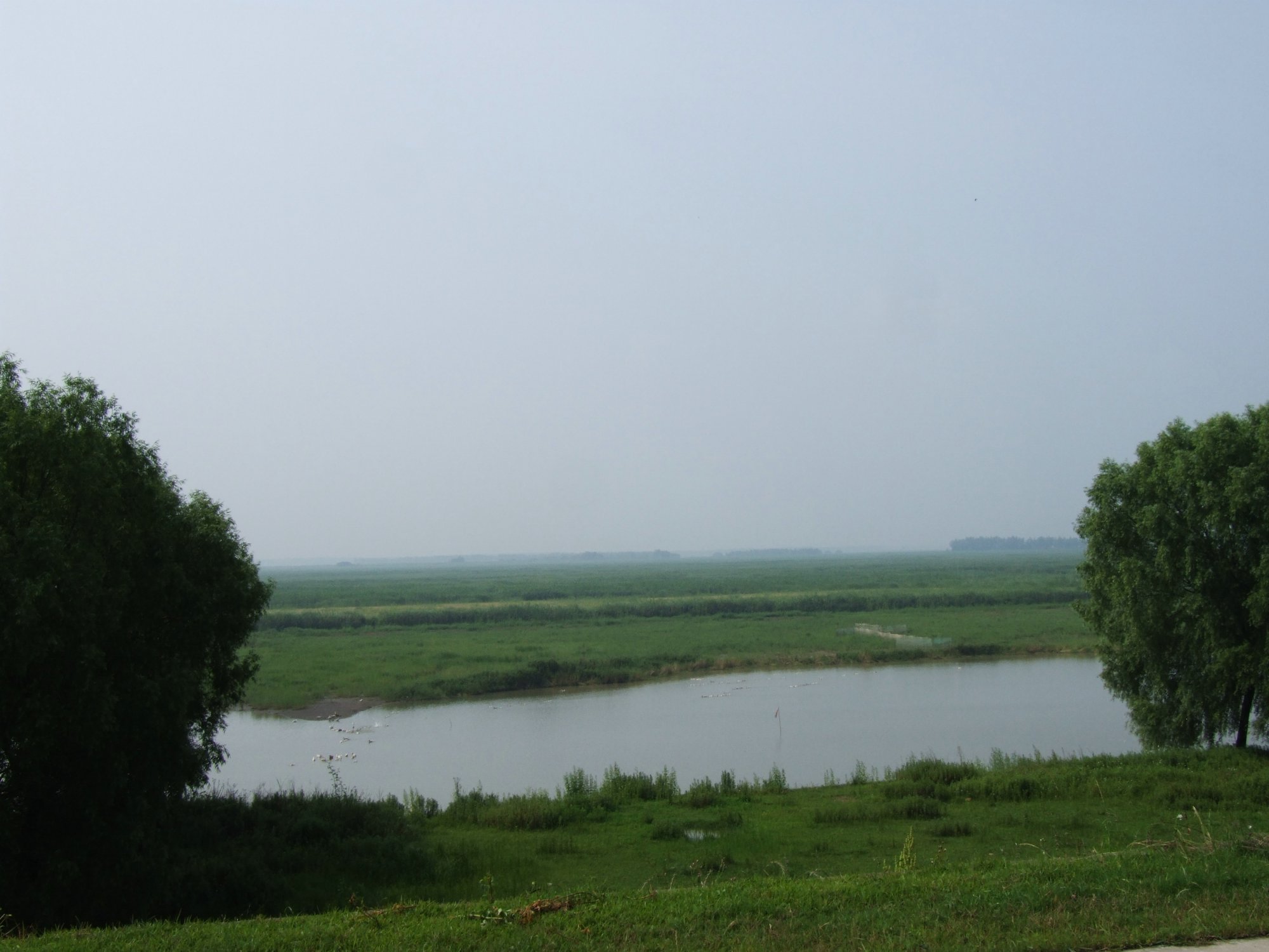 DSCF5532.jpg