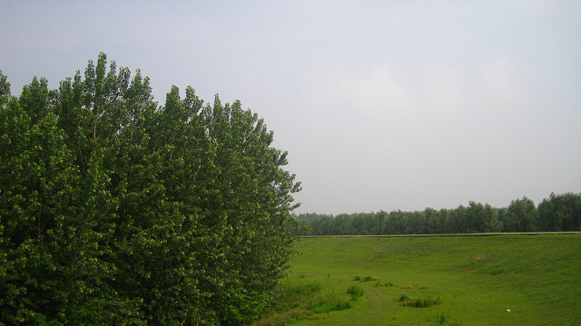 IMG_0011.jpg