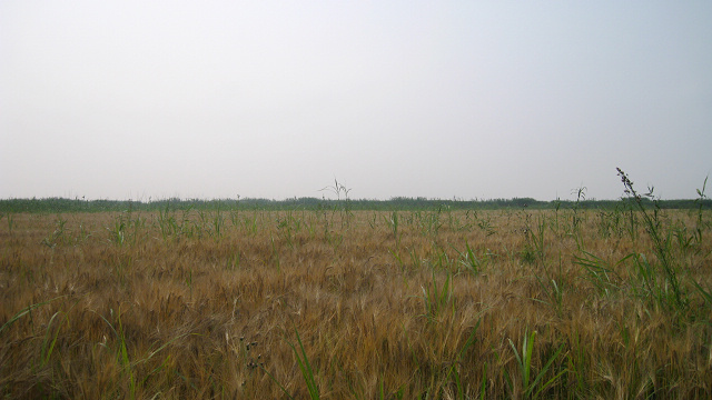 IMG_0003.jpg