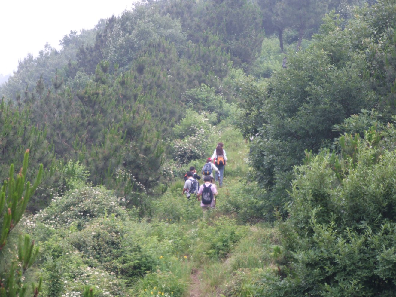 DSCF5546.jpg