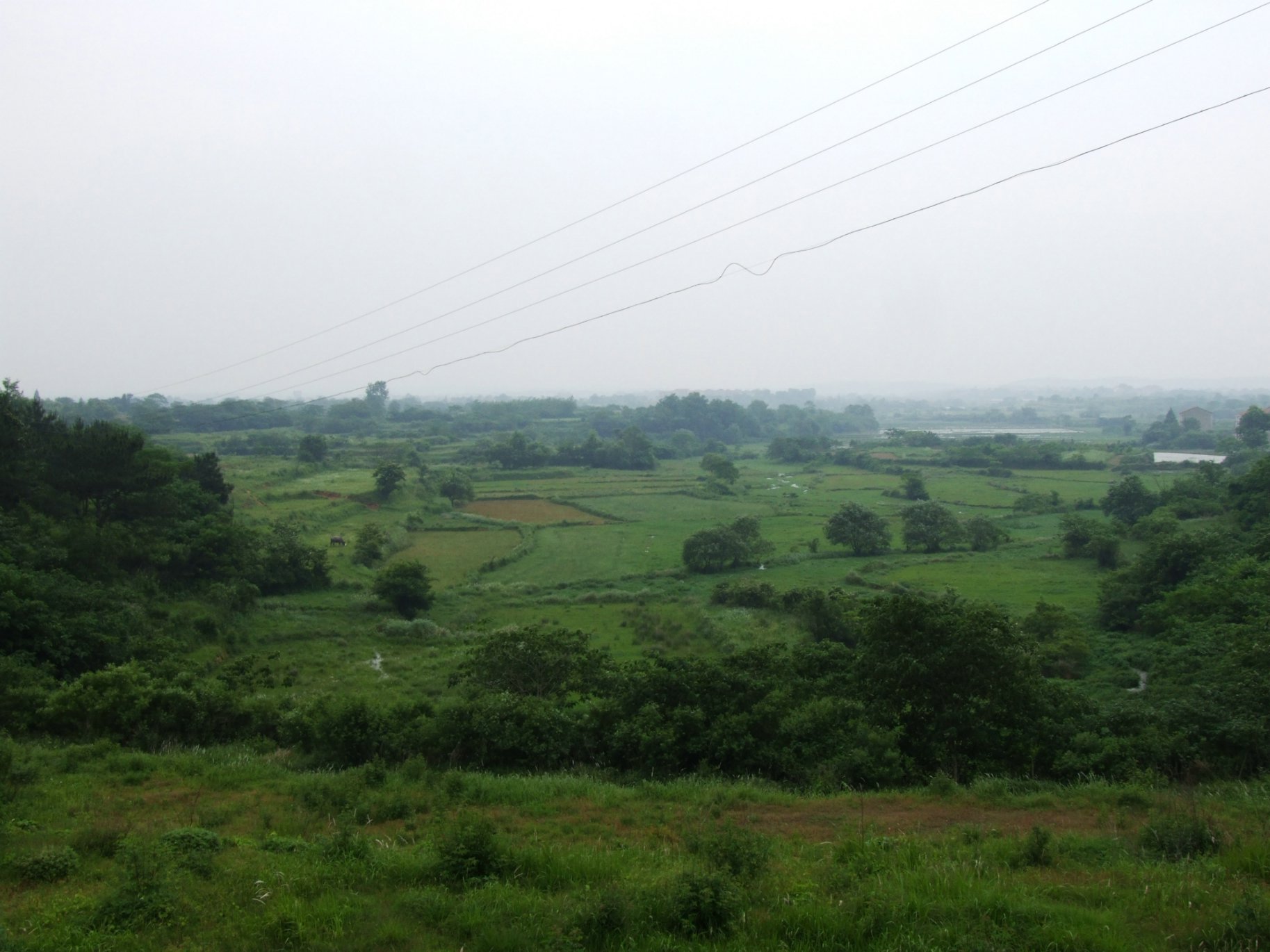 DSCF5559.jpg