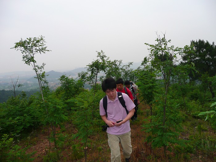 P1020264.JPG