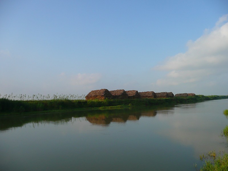 P1020252.JPG