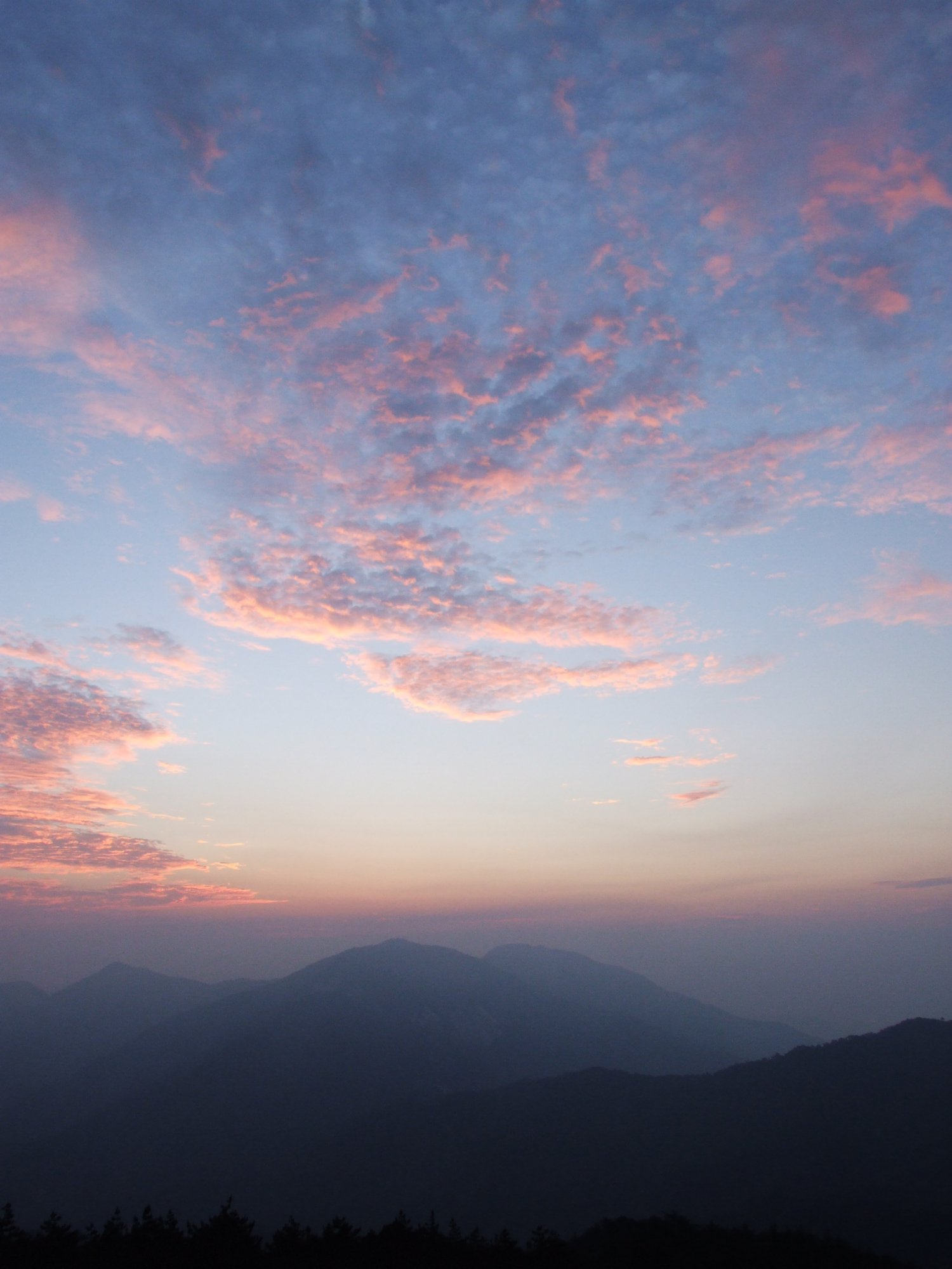 DSCF5763.jpg
