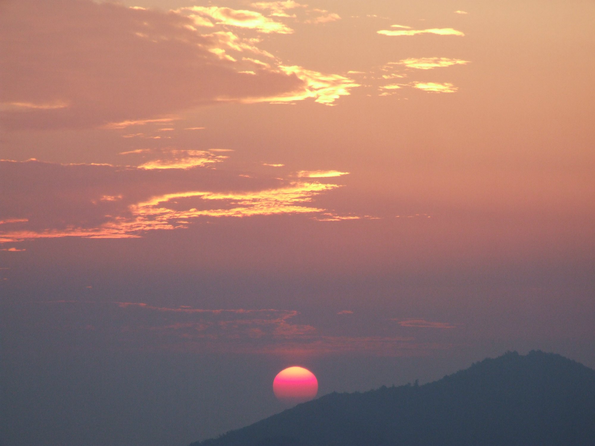 DSCF5775.jpg
