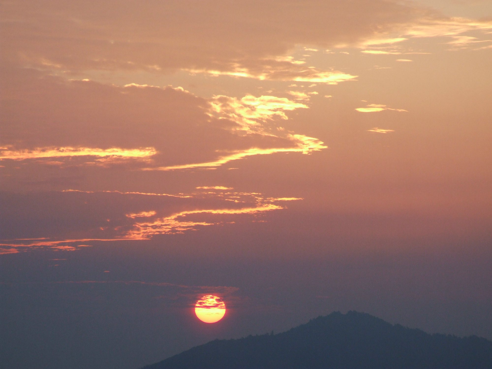 DSCF5780.jpg