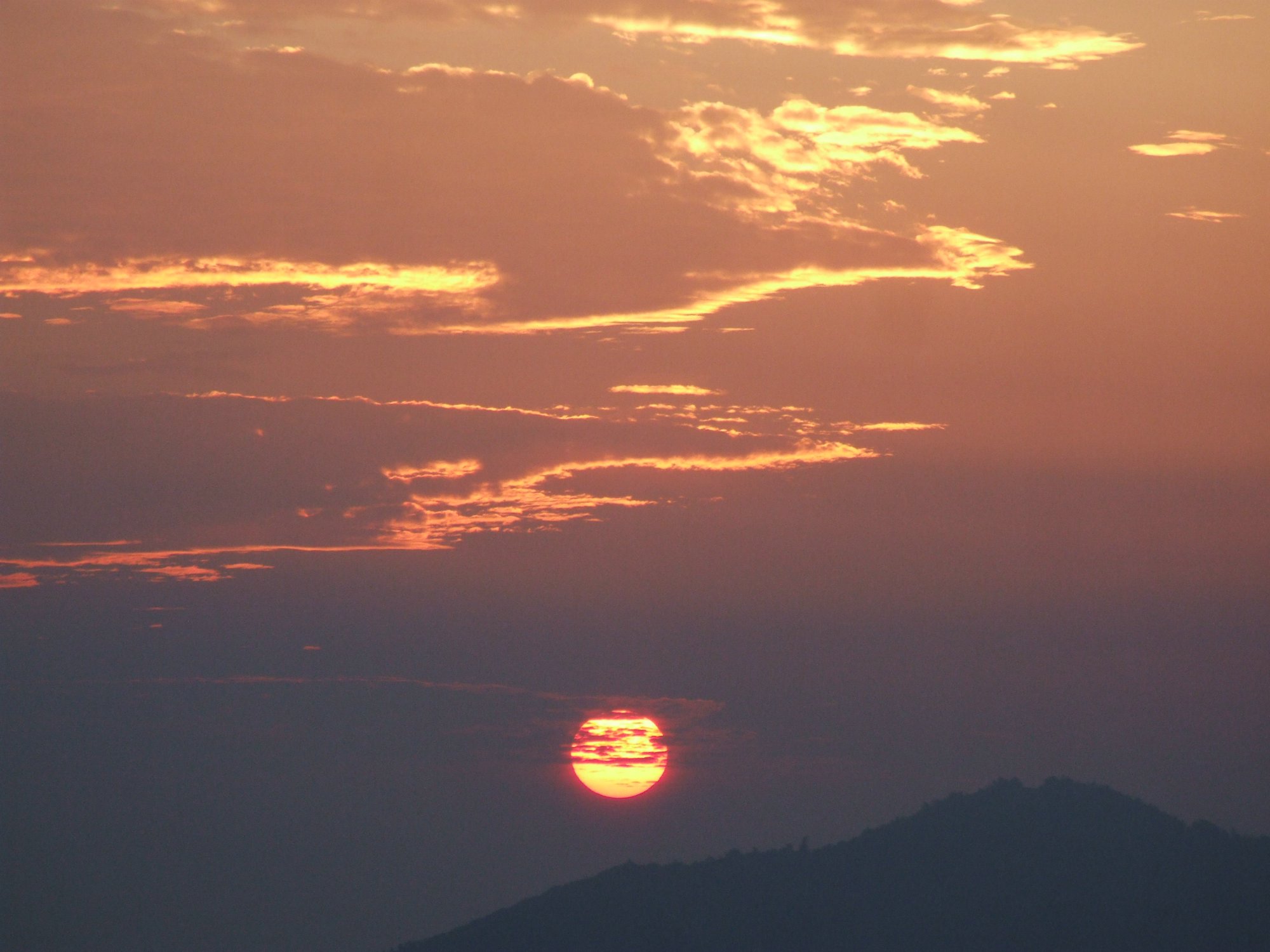 DSCF5781.jpg