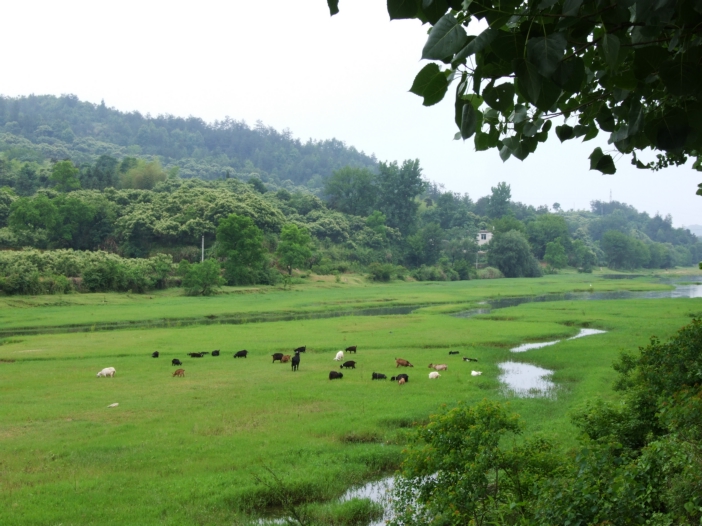 DSCF5575.jpg
