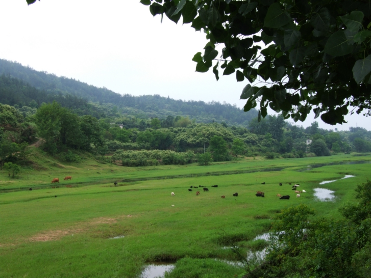 DSCF5571.jpg