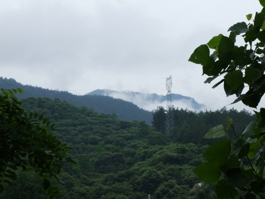 DSCF5574.jpg