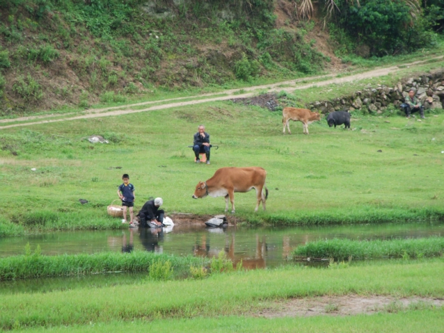 DSCF5572.jpg