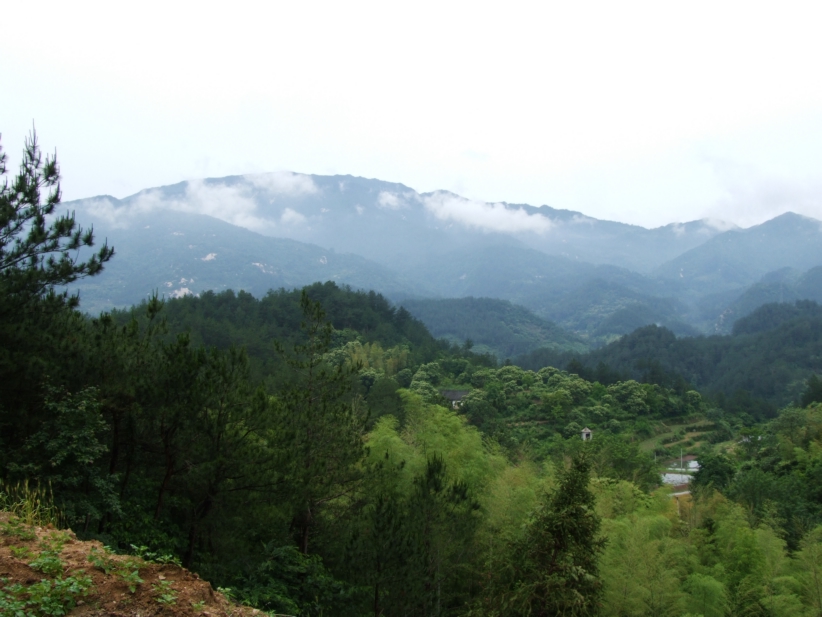 DSCF5578.jpg
