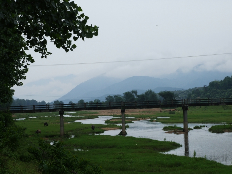 DSCF5573.jpg